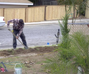 a tech is rearranging the front plants