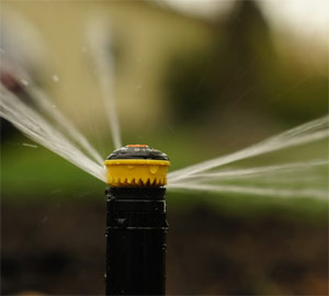 a sprinkler head inspected by our team